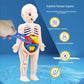 14 Pcs Children DIY Human Organ Model Educational Toy - 14pcs - set - Infants planet