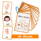 English Words Learning Flashcards - Infants planet