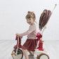 iimo 3 - in - 1 Foldable Tricycle with Canopy - Infants planet