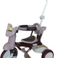 iimo 3 - in - 1 Foldable Tricycle with Canopy - Infants planet